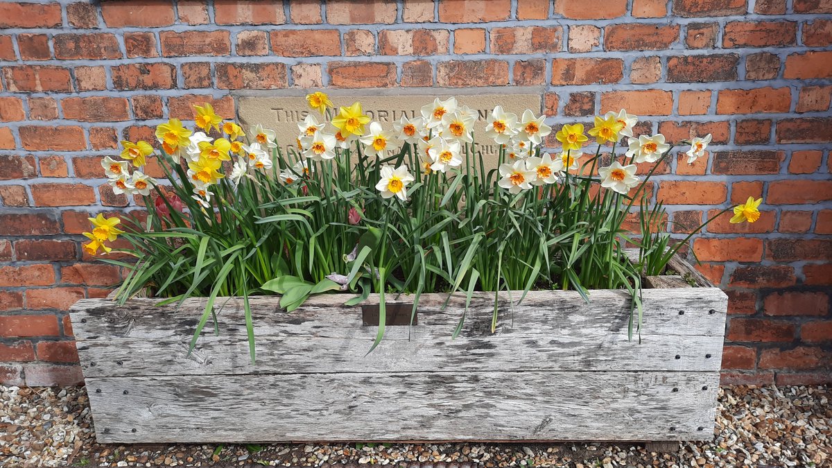 The #world now #URGENTLY needs our #prayers. Please lets open our hearts to #God and pray for #PEACE.