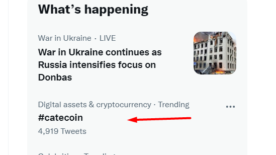 CateCoin tweet media