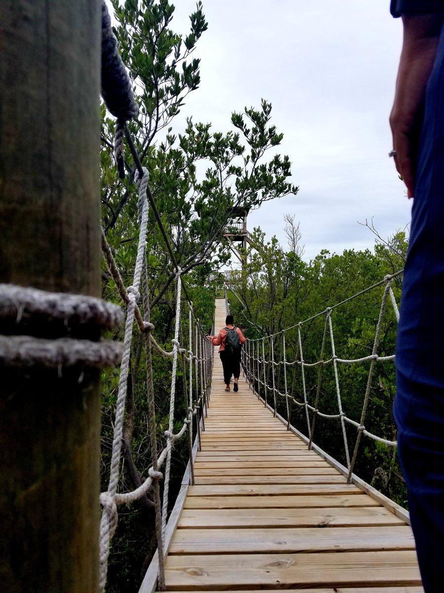 nbood's tweet photo. Enjoyed this beautiful nature trail and observation tower on #Turneffe Atoll yesterday. This is part of the Turneffe Atoll Sustainability Association's Blened Blue Finance to support management of the marine reserve. #Belize https://t.co/y3XDvmau53