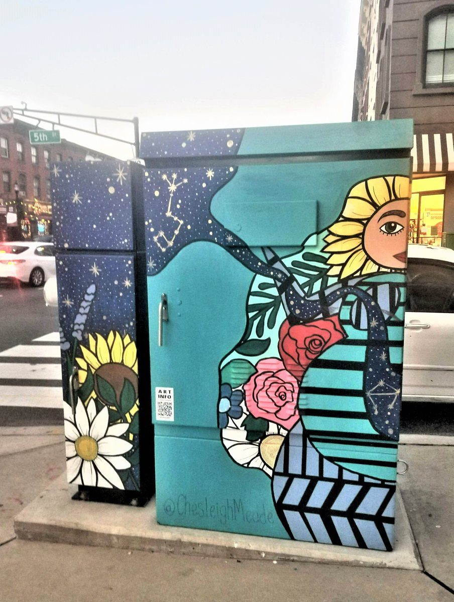 BarbanelT's tweet image. 🌻Hoboken Blooms 
#hobokenstreetart #streetart #utilityboxes #springweekend