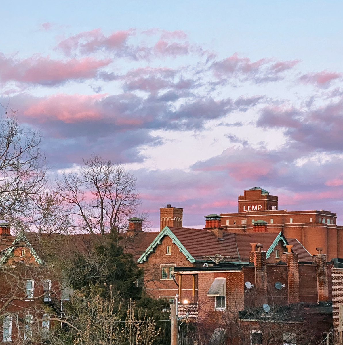 hopewills's tweet image. Beautiful day in Saint Louis. #stl #stlweather