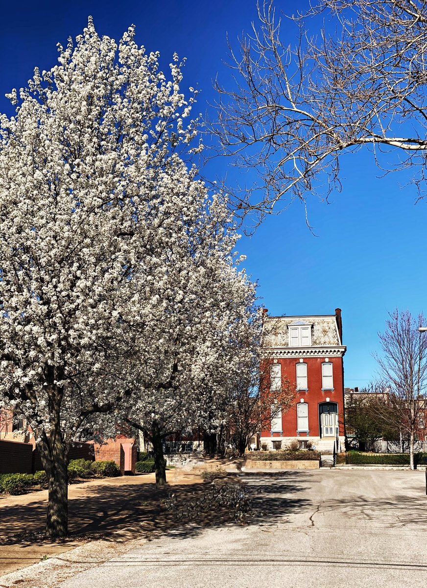 hopewills's tweet image. Beautiful day in Saint Louis. #stl #stlweather