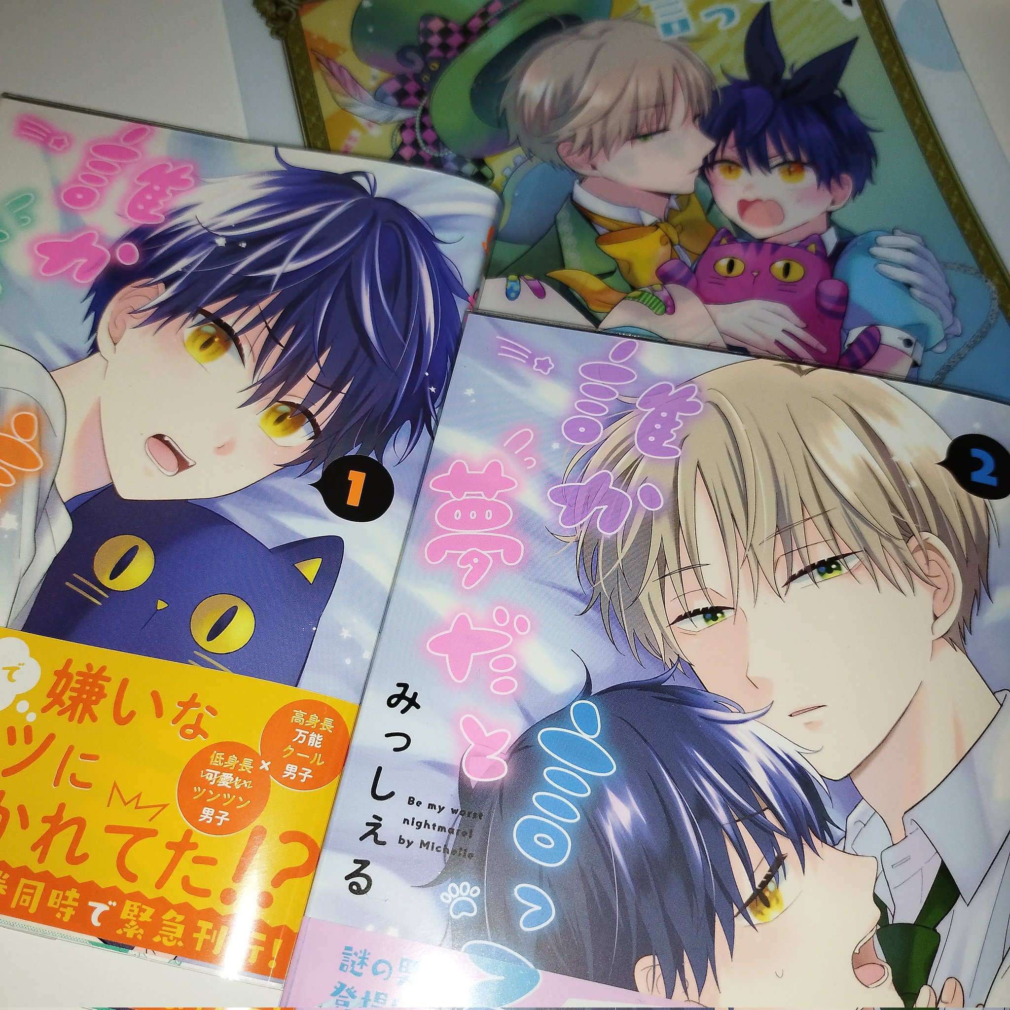 アニメ 漫画大好き人間 誰か夢だと言ってくれ が届いた 届くのもう少し先かと思ってたからビックリしたs もう実物が最高過ぎてずっと眺めてられる ホーリンラブブックス Bl おすすめbl漫画 T Co 5f6fvxls42