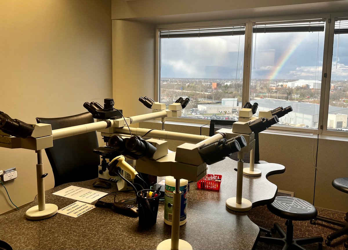 We finally discovered what’s at the end of the rainbow…turns out it’s pathology! 😉 Awesome pic by my friend, Dr. Jorge Roman. #pathologists #pathology #pathTwitter