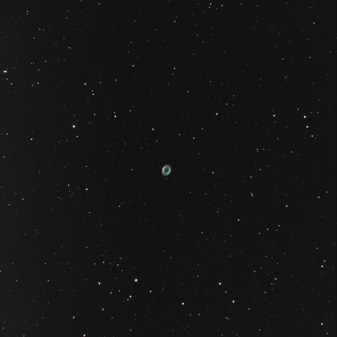 astrophotosnap's tweet image. Ring Nebula