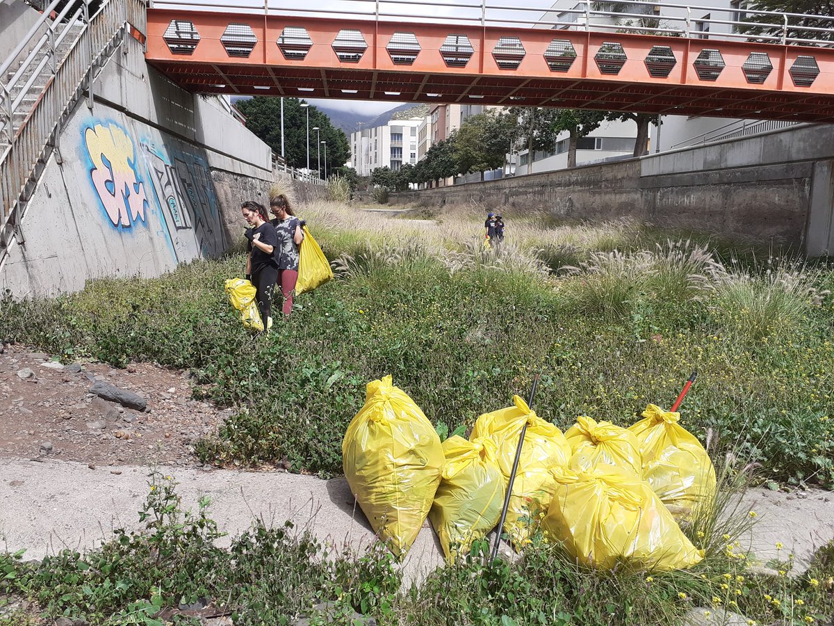 Proyectos Medioambientales Marinos tweet media