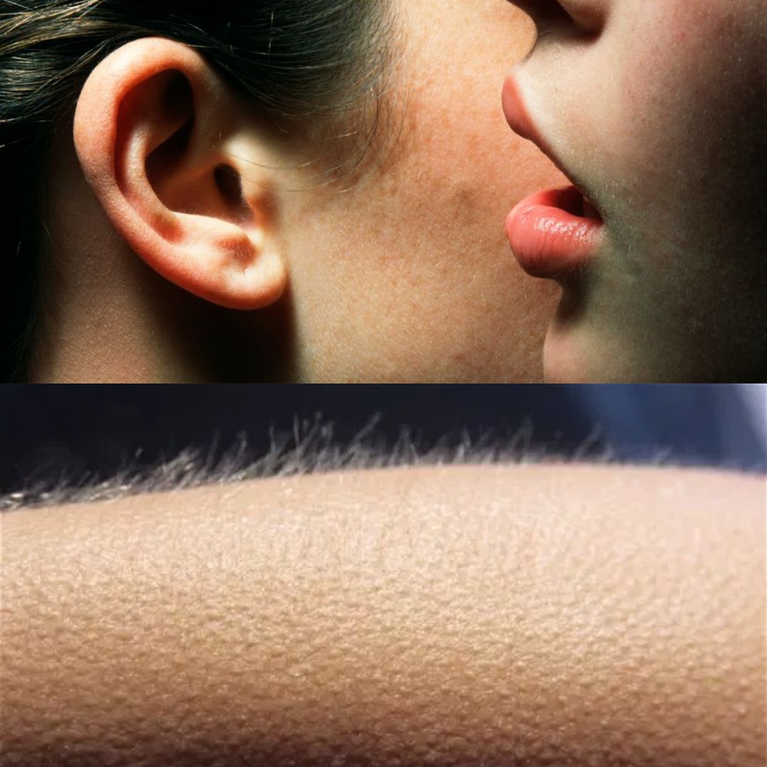 Com2WebTarbes's tweet image. Prof : Vous pouvez faire votre site avec WordPress
#Com2web #lpcom2web #wordpress #fun