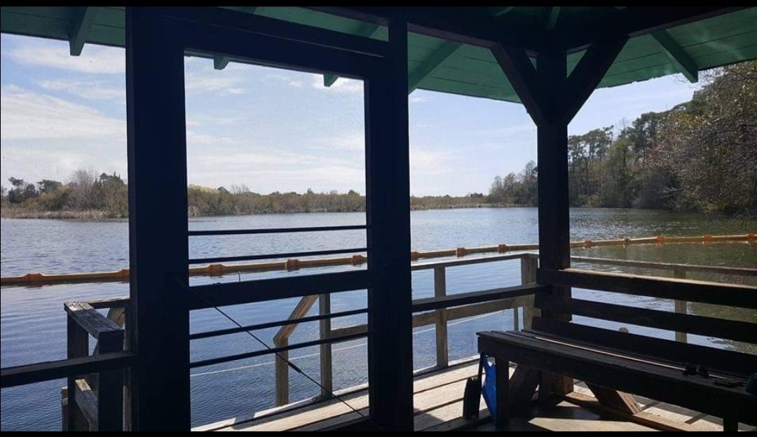 Mark Minervini tweet media