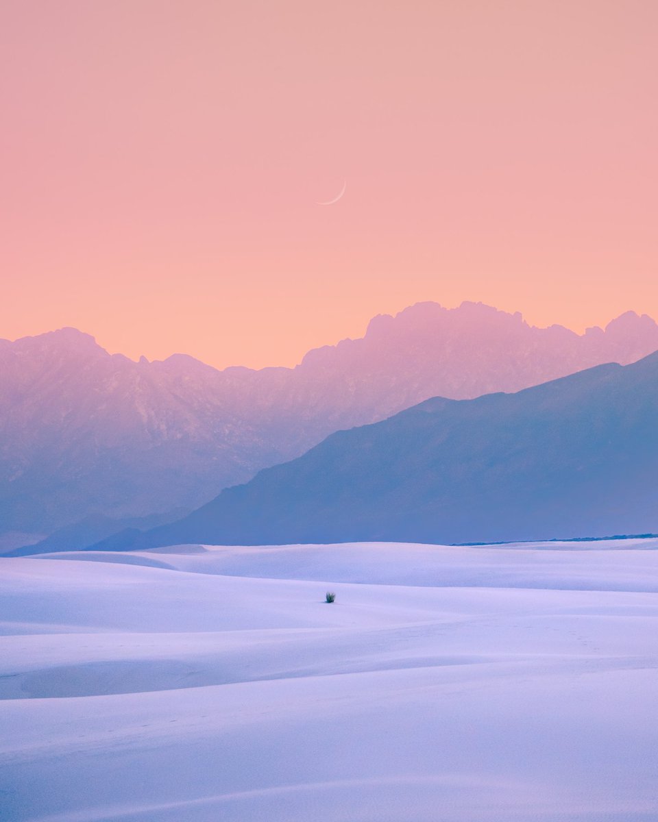 emilyshoots's tweet image. chasing the quiet