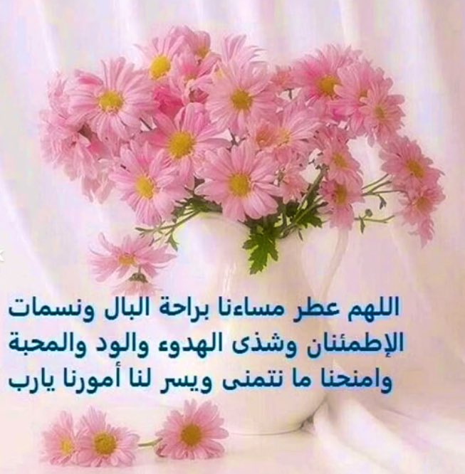 نور العين (@noral_____2) on Twitter photo 