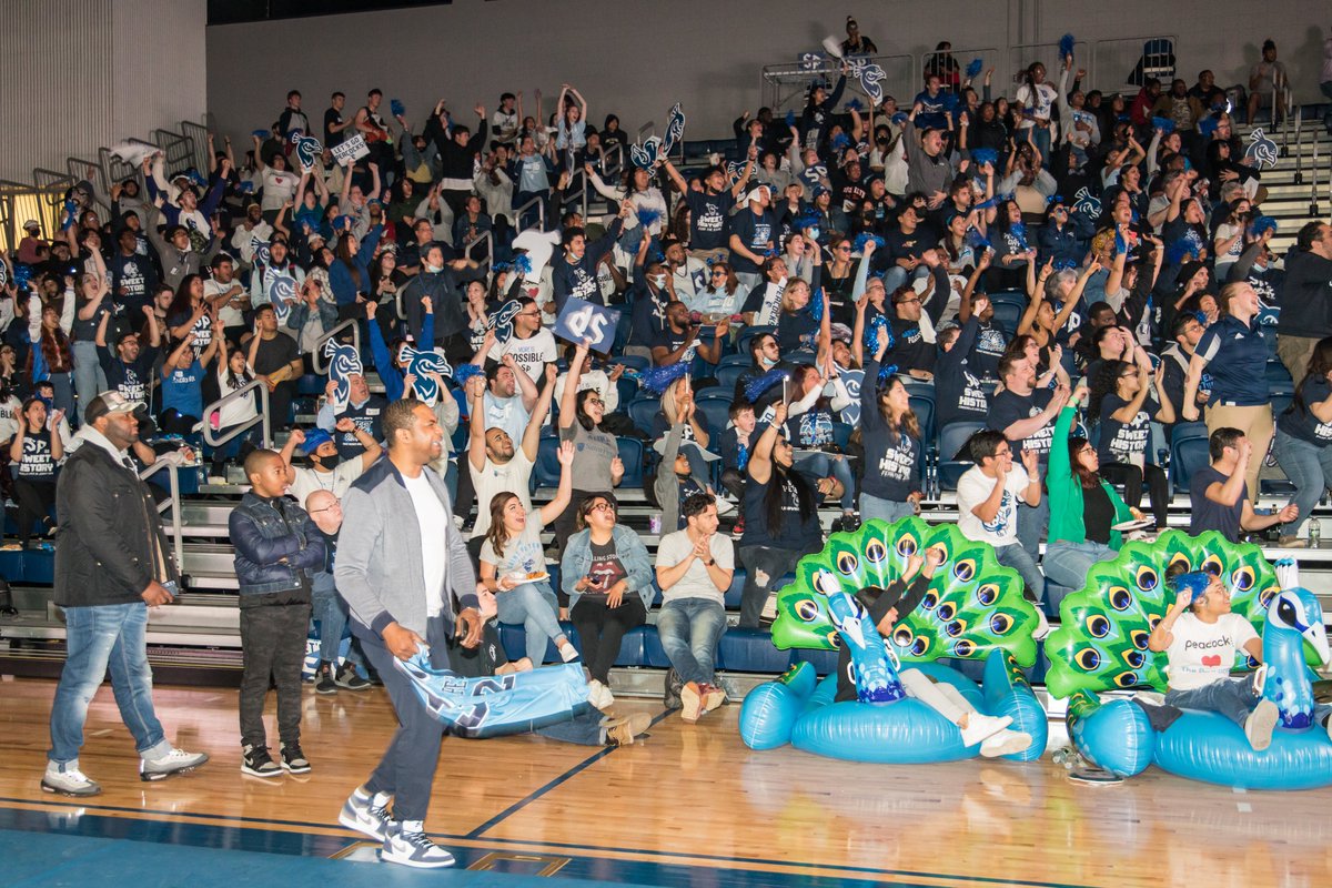 SPUAthletics's tweet photo. This is America's team, @PeacocksMBB 🏀
This is where we play, Run Baby Run arena 🏟
This is our campus, @saintpetersuniv 🏫
And this is Peacock Nation...🦚

Apply today: https://t.co/fsdJ02BMSr

Learn more about 
@saintpetersuniv: https://t.co/cC42TVea2c https://t.co/HkZTbw291u