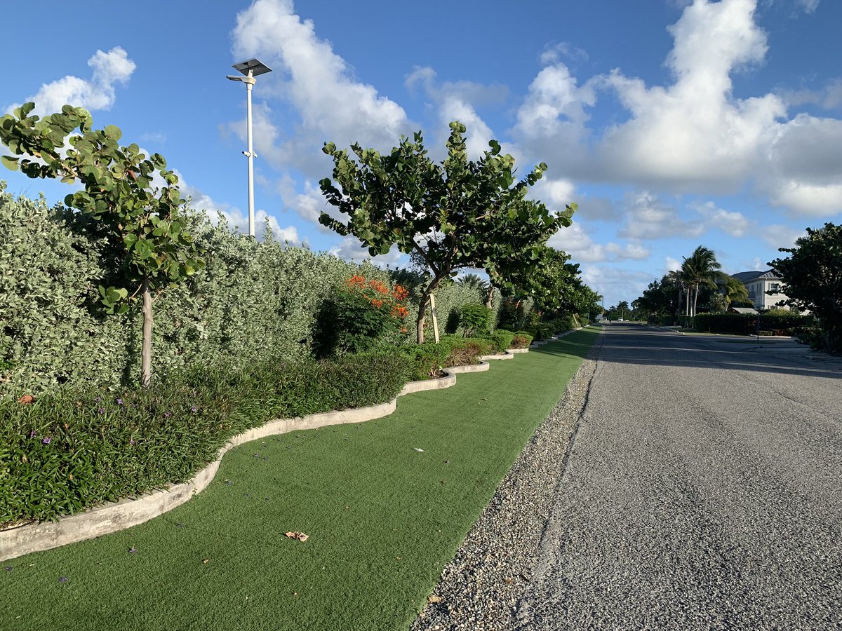 roryamarsh's tweet photo. How important is curb appeal to you? Are you in favor of edible hedges? https://t.co/SrEVIZaP7N