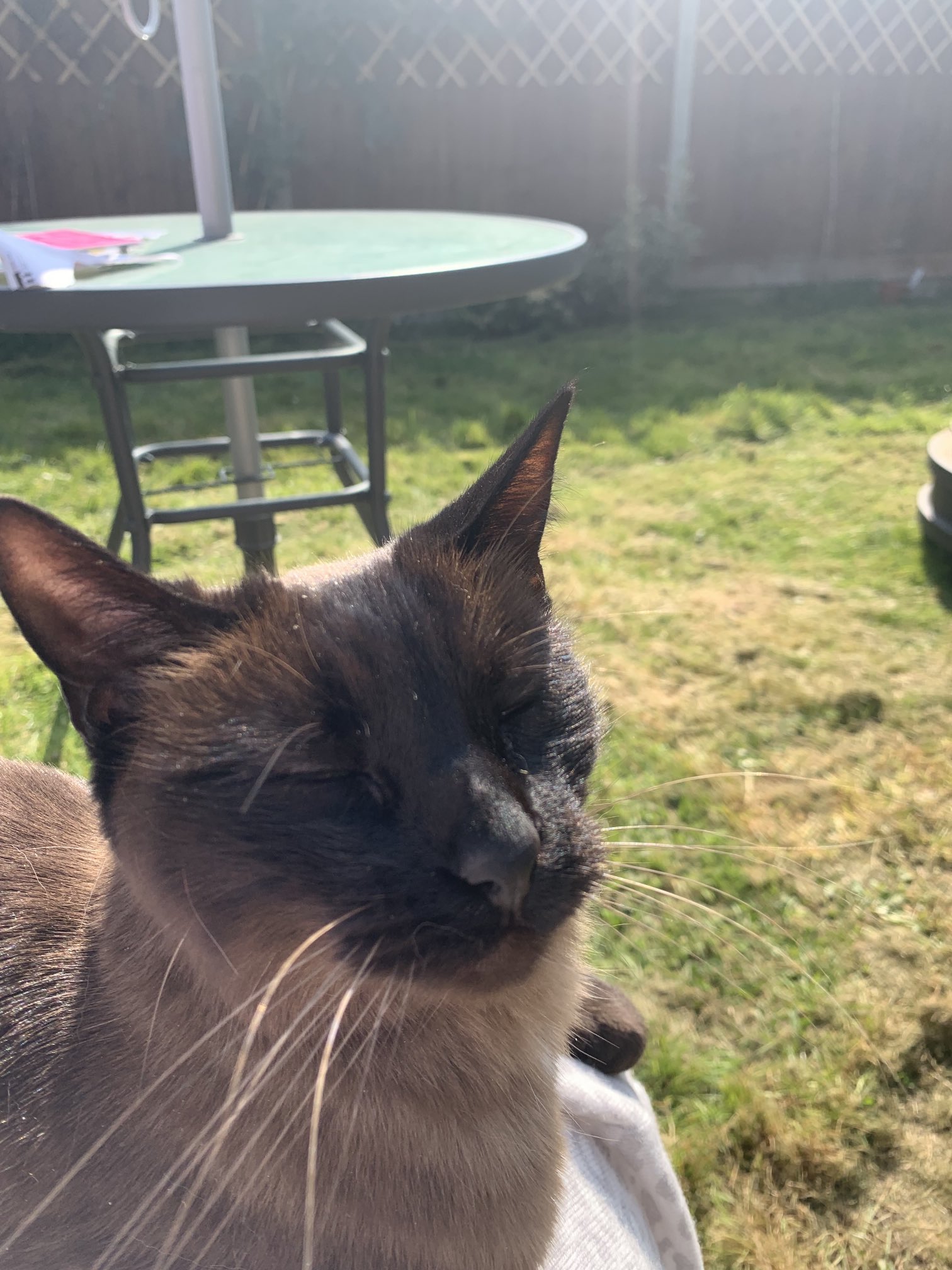 Jonathan Antoine (@JonAntoine) / Twitter