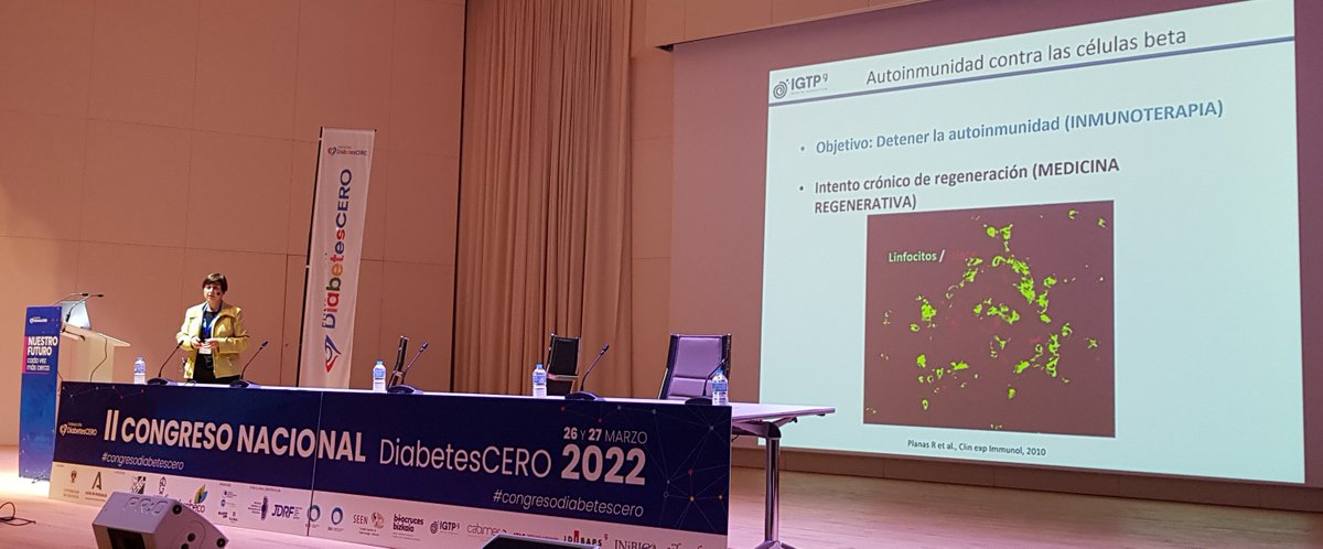 Carmen R.Sandianes-G (@crsandianesg) on Twitter photo 'El reto de detener la autoinmunidad en #diabetes tipo I con nanopartículas' es la ponencia de la dra. Marta Vives-Pi, de <a href="/GTRecerca/">IGTP</a>, quien expone los avances que se han producido desde el I Congreso Nacional de <a href="/diabetes_CERO/">Fundación DiabetesCERO</a> en 2017. #congresodiabetescero #Granada #2022 'El reto de detener la autoinmunidad en #diabetes tipo I con nanopartículas' es la ponencia de la dra. Marta Vives-Pi, de <a href="/GTRecerca/">IGTP</a>, quien expone los avances que se han producido desde el I Congreso Nacional de <a href="/diabetes_CERO/">Fundación DiabetesCERO</a> en 2017. #congresodiabetescero #Granada #2022