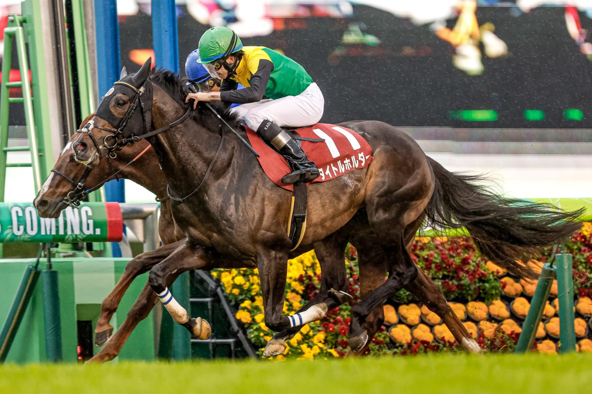 netkeiba's tweet photo. Japanese superstar 4yo colt.
#Shahryar #Efforia
#Title_Holder
#Jack_dOr
#Pixie_Knight https://t.co/lWKPMEEmwW