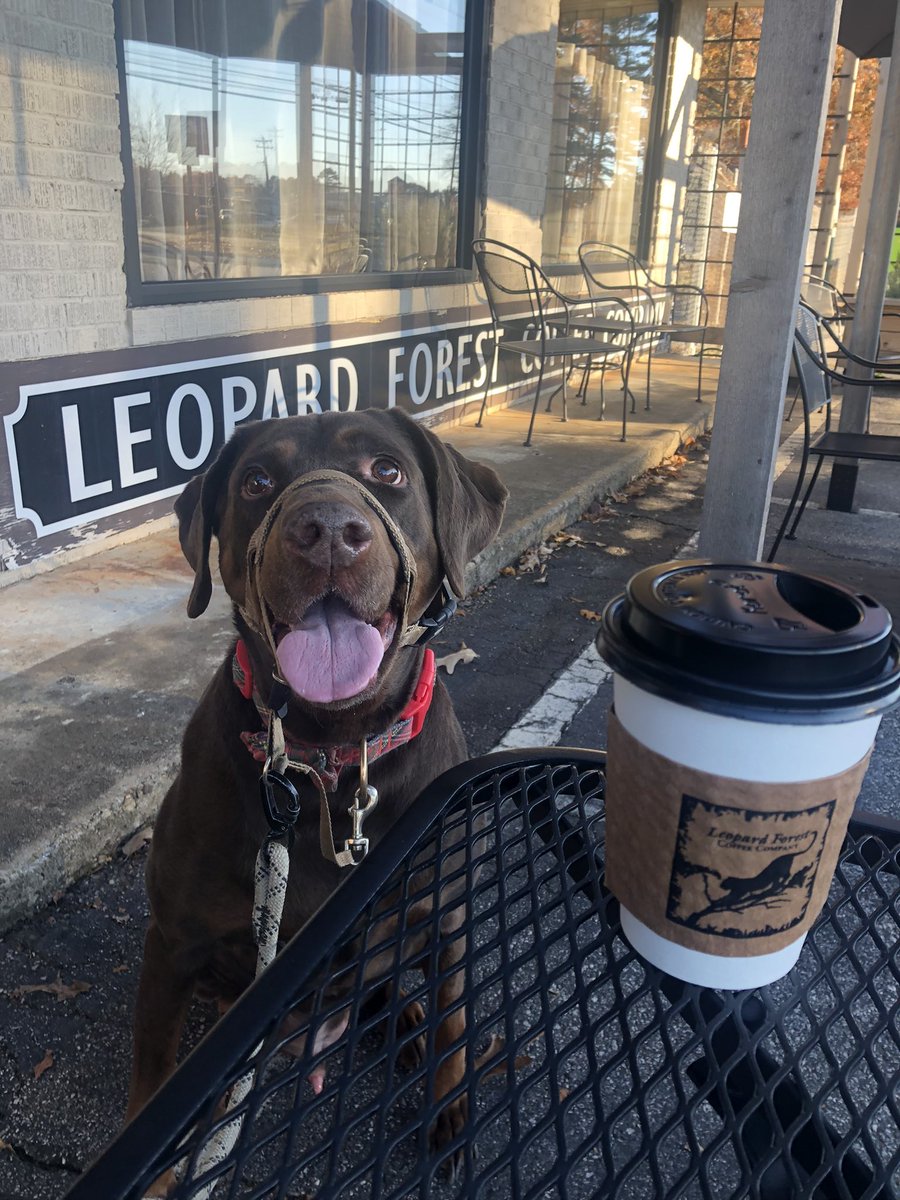 DevoHawk's tweet photo. @LewTurner Mornin’ Lew.   - Winston https://t.co/6GPhmp4zcQ