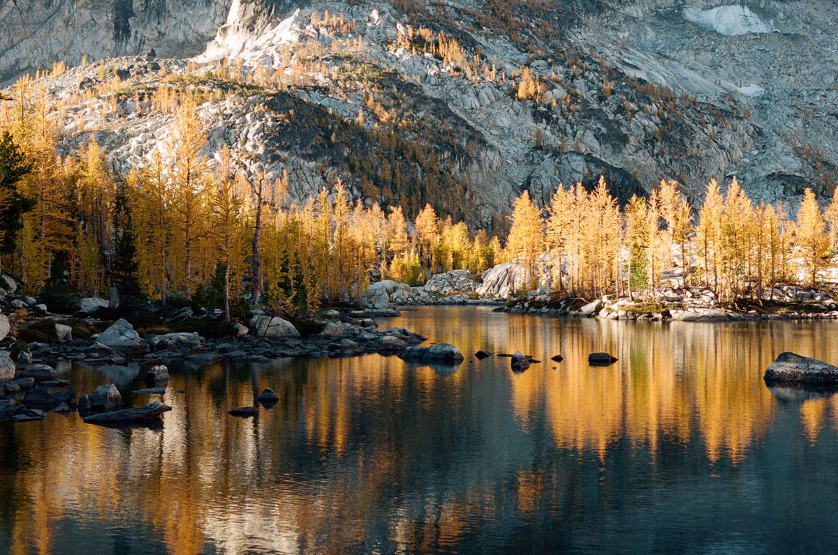 forestoutside's tweet image. Enchantments in the fall on Portra 800 🎞