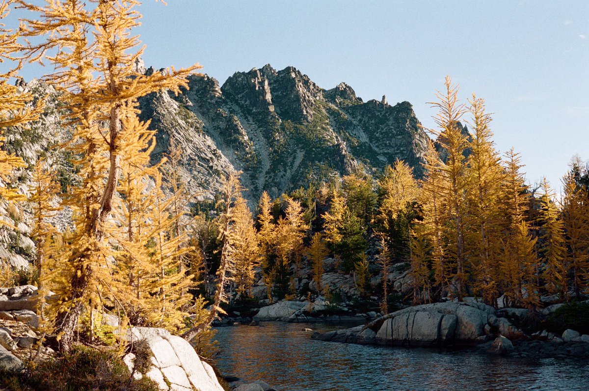 forestoutside's tweet image. Enchantments in the fall on Portra 800 🎞