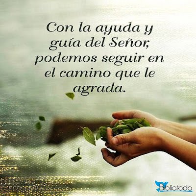Lea y comparta el Devocional Diario. Reflexiones para vos:  "SALIENDO DE LA CÁRCEL EN VICTORIA" 
acortar.link/MX97RY
Dele Me Gusta a la página Reflexiones para Vos en Facebook
facebook.com/reflexionespar…
#ReflexionesParaVos #DiosTeAmaMucho