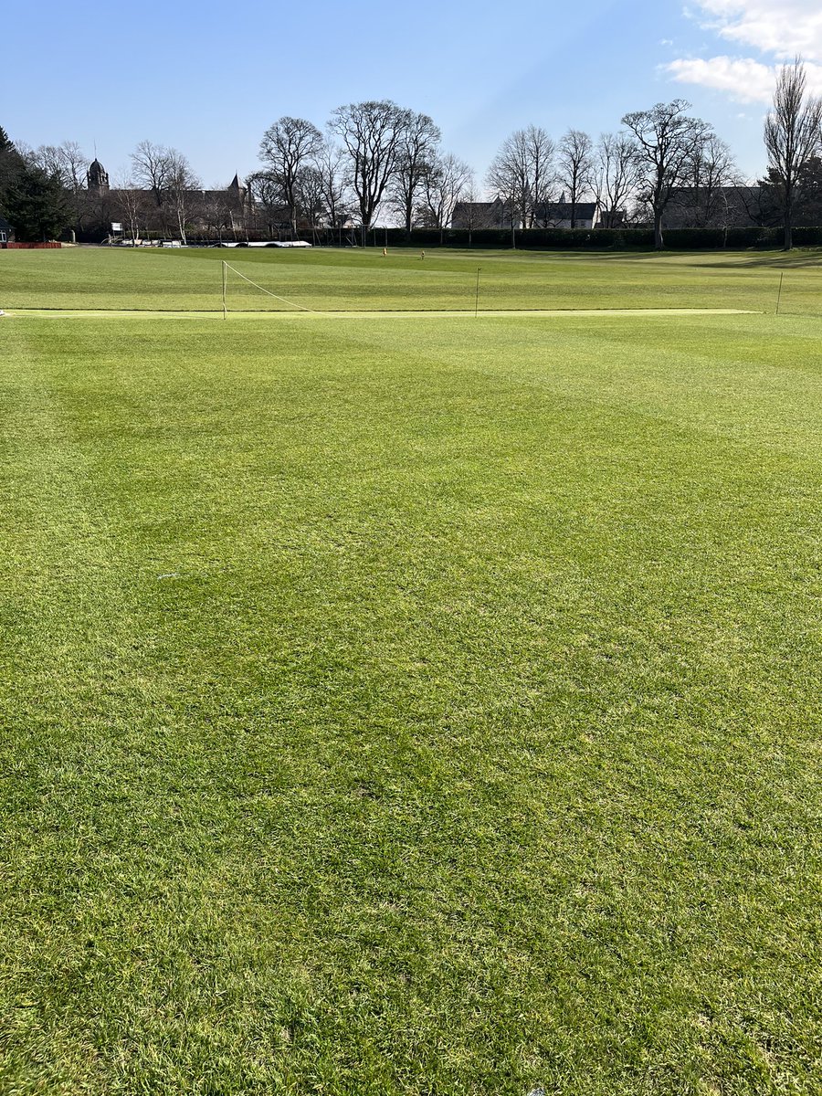 It has been a busy week for the ground staff.  With  the rugby posts coming down. Pre season rolling on the cricket squares, followed  by a verticut and double cut.