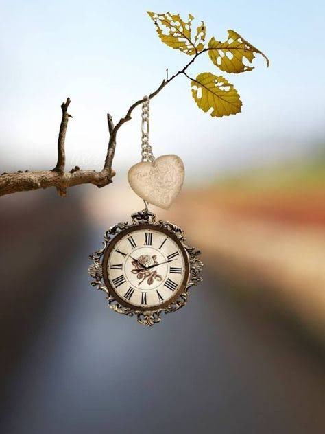 carolinabrio's tweet photo. Te deseo tiempo. Un activo a cuidar, en qué y en quién invertir. https://t.co/2Na9dK9PVF