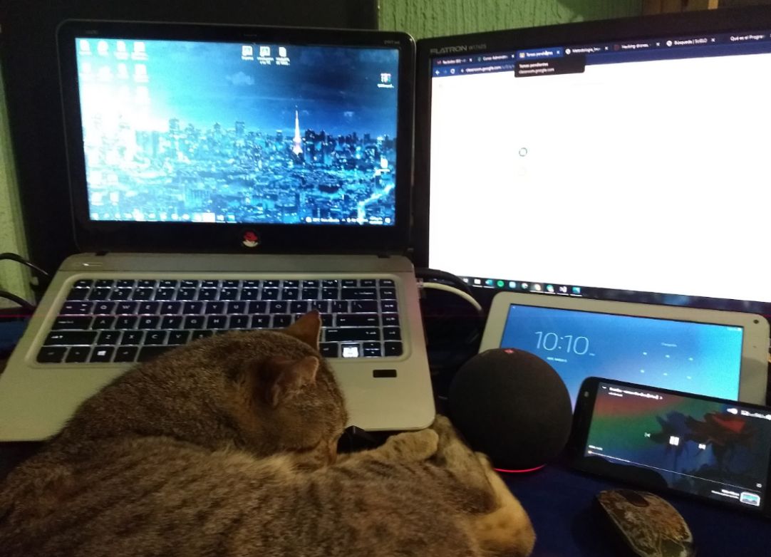 RafaelBuMa's tweet photo. La mejor compañía que puede tener uno para ganar el #Hackathon2022 

En la desvelada / Después de la desvelada

#Hackathon2022 #UnidxsFIF #UAQ
@InformaticaUAQ @miflink @martin_960623 https://t.co/eyss8IxHiR