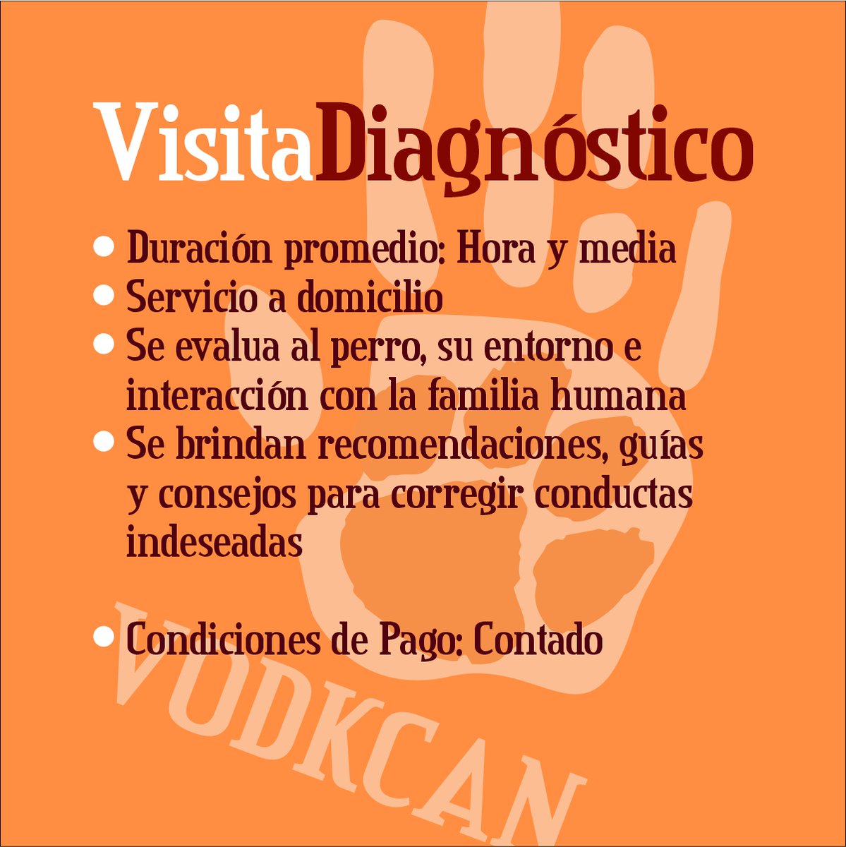 vodkcan's tweet photo. ¿Cuándo conviene una Visita Diagnóstico? 🐶🤔❓

Desde la llegada a un nuevo hogar, pasando por una mudanza o ausencia de algún miembro de la familia, los perros no están exentos de sufrir cambios y verse afectados por lo que sucede a su alrededor. https://t.co/GWbTiKCrvc