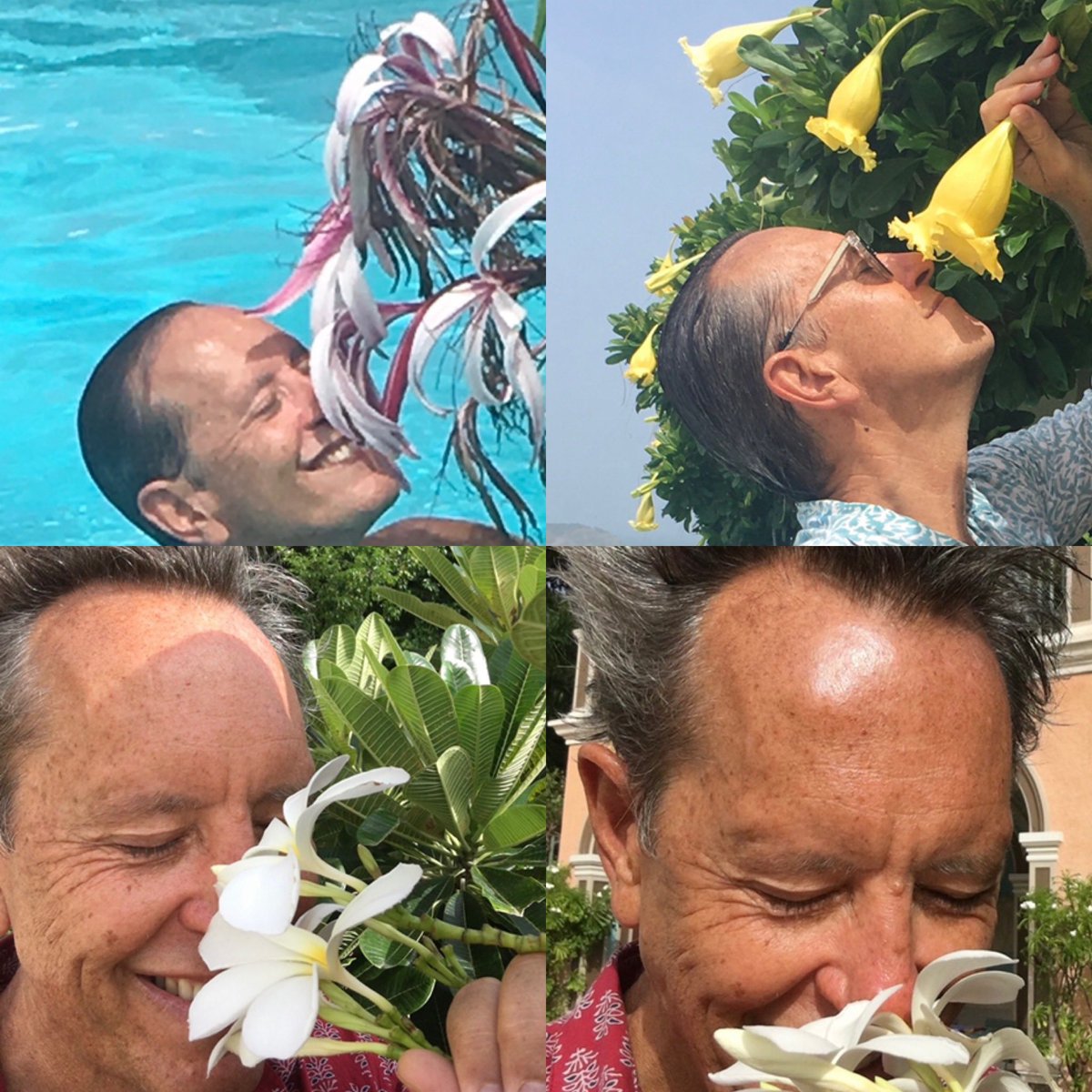 Jonathan Wellbelove tweet media