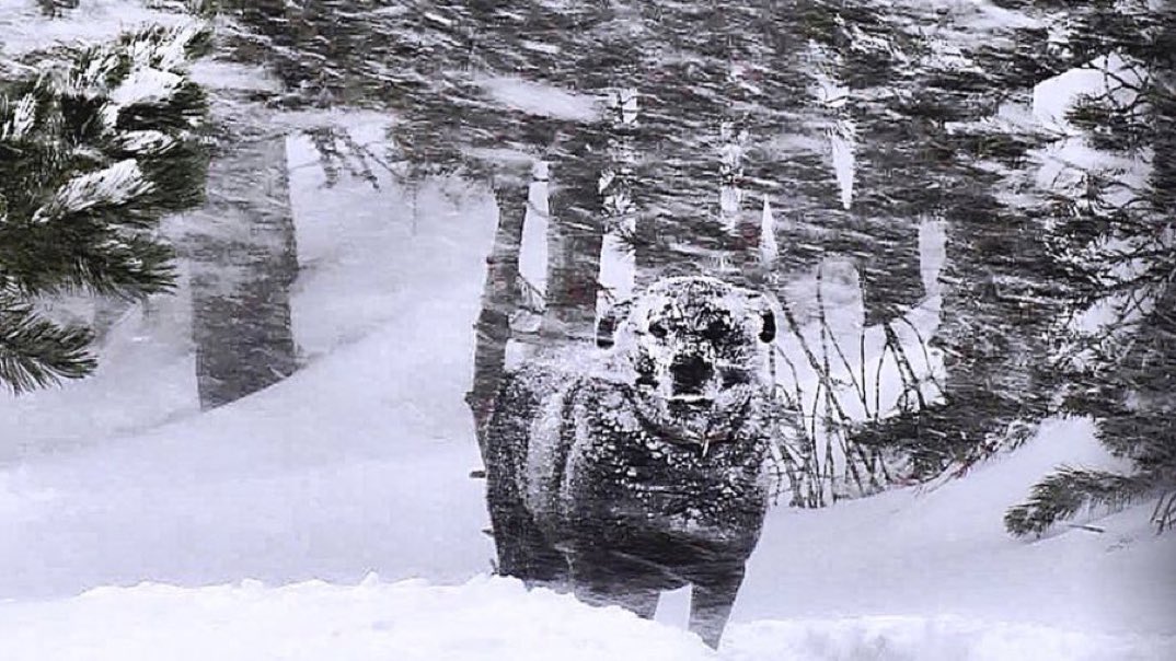 Benasque 🏔️ Info tweet media