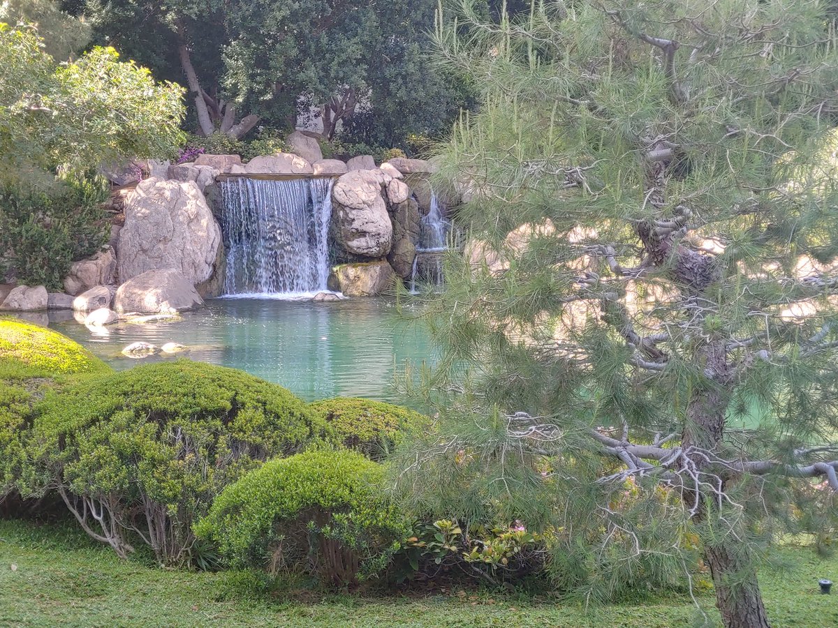 ZabeccaBrinson's tweet photo. Ending my week in Phoenix for #AUR2022 with a trip to the Japanese Friendship Garden. 💚 @jfgphx @AURtweet https://t.co/vD8NwWACld