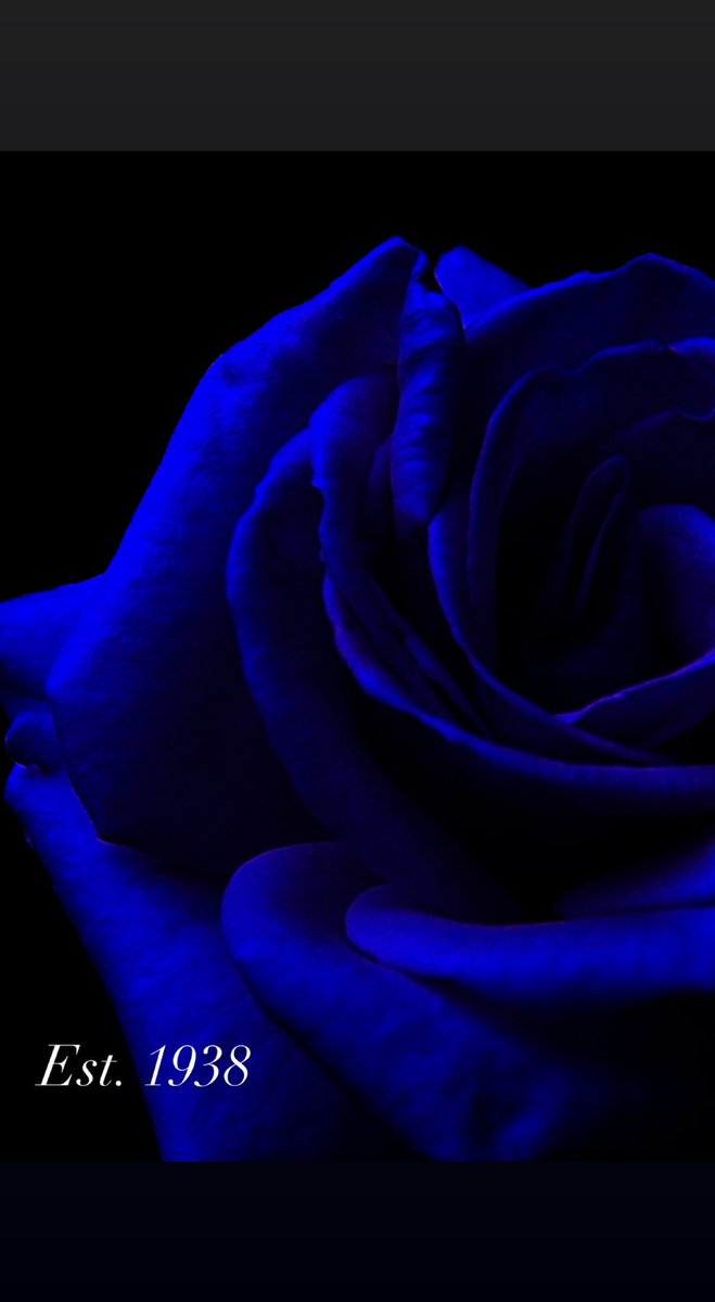 TSU_ZETAS's tweet photo. The FIRST on the yard and the BEST to ever do it! The Nu Alpha chapter is celebrating 84 years today 🥳 
Happy Charter day to all current and former NA sorors🤍
#NAcharterday  #zphib1920 #nualpha #zeta #mightysouthernregion
#tsuzetas https://t.co/pMevT1rtvT