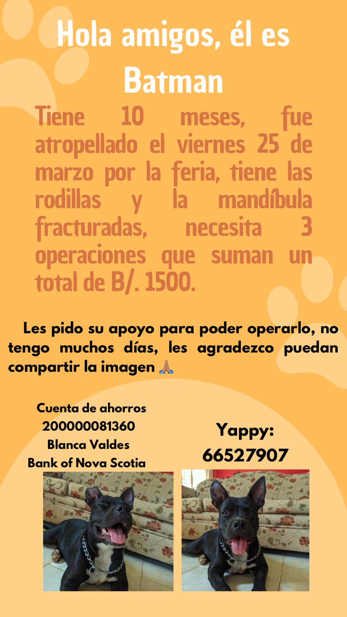 Blancacvc2 tweet picture