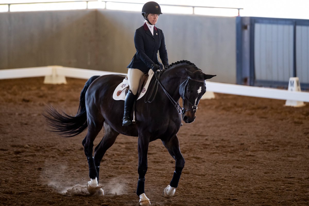Aggie horses swept MOPs in the UGA vs USC consolation round this morning! 🧹

Congrats Uvalde, Chapman, Murphy, and Diablo!!!🏇👍

#EyesUp #GigEm