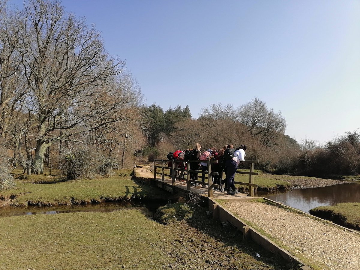 Miss Burrows tweet media