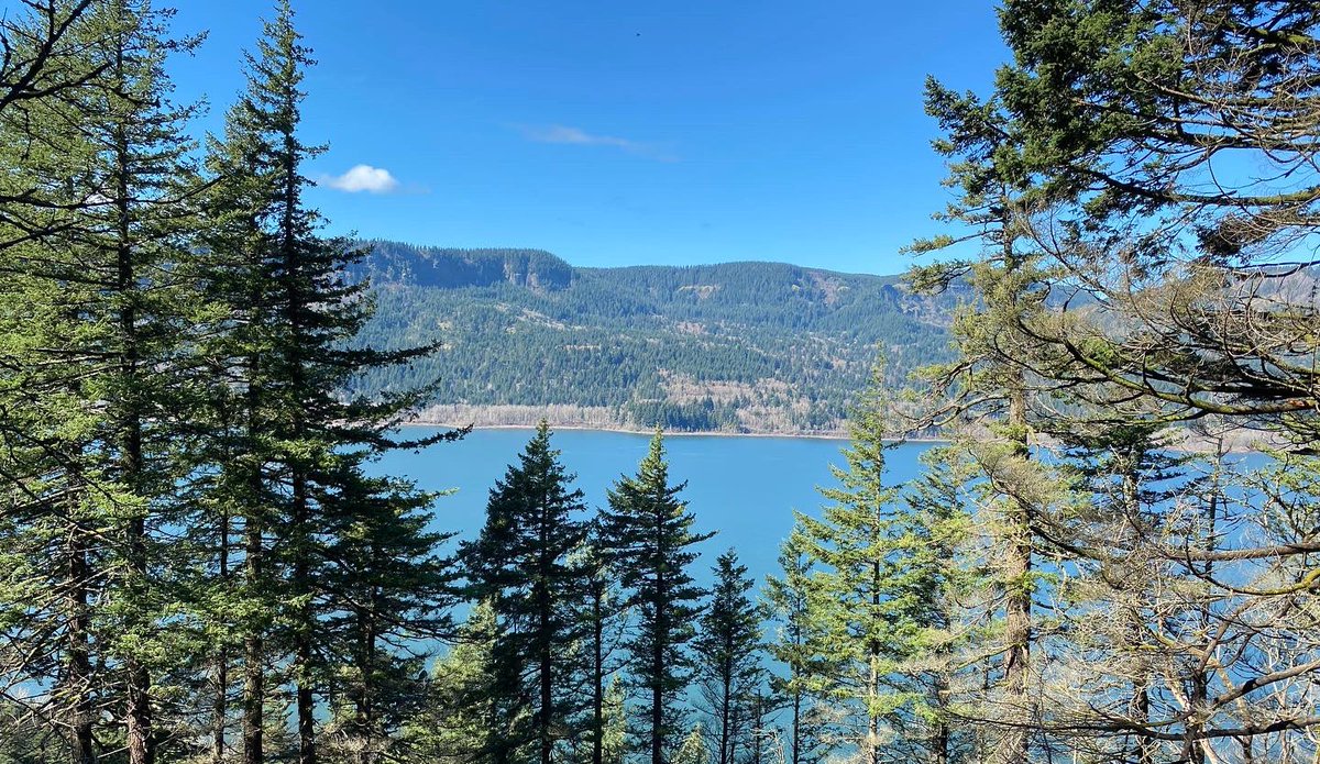 Amy Weldon tweet media