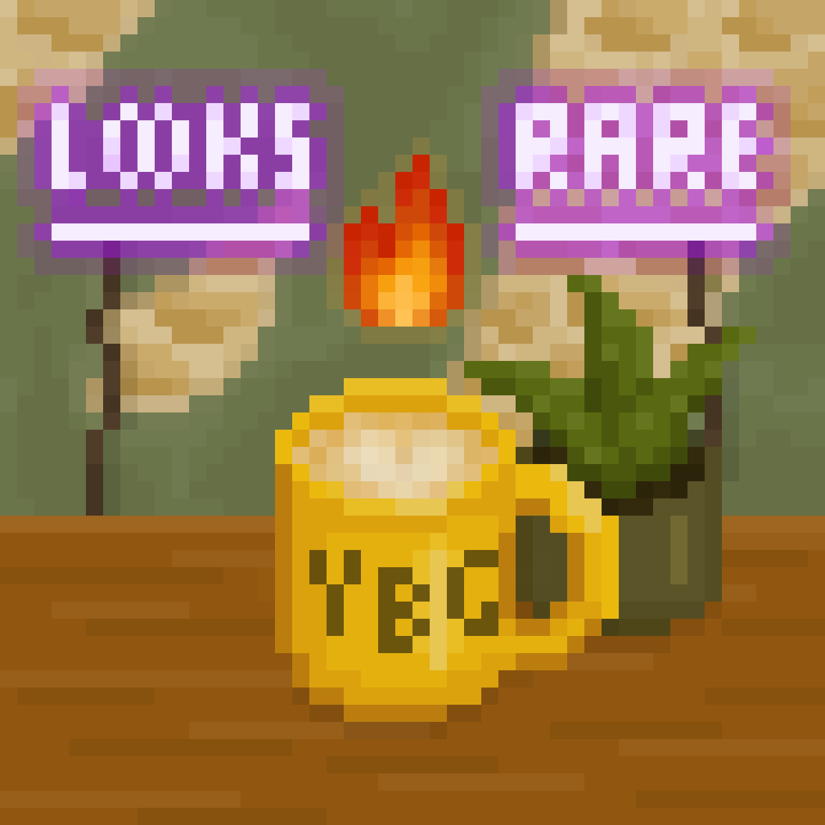 CoffeeBits.algo ☕️ tweet media