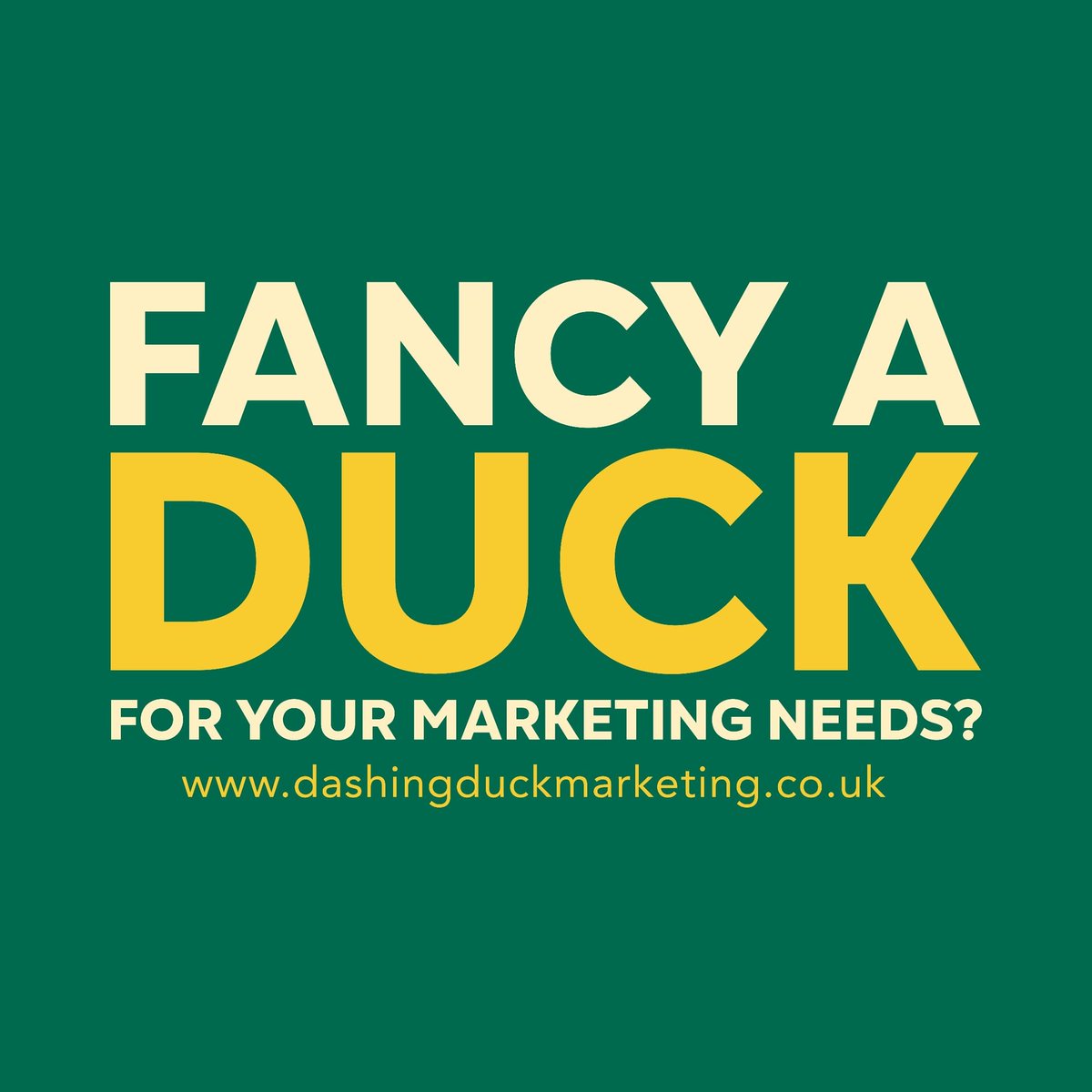 Dashing Duck Marketing tweet media