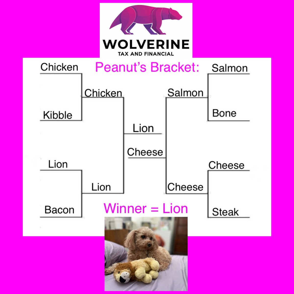 Our staff accountant Peanut has accomplished the extraordinary feat of filling out a perfect bracket. #TaxTwitter #DogsofTaxTwitter #Bracketology #MarchMadness