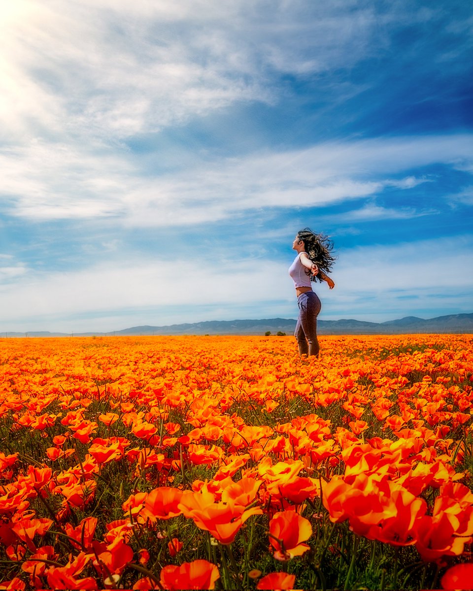 Spring is in the air 
Who else is excited for it?
Feel free to share your own spring shots 👇
I'll RT all
#photography #spring