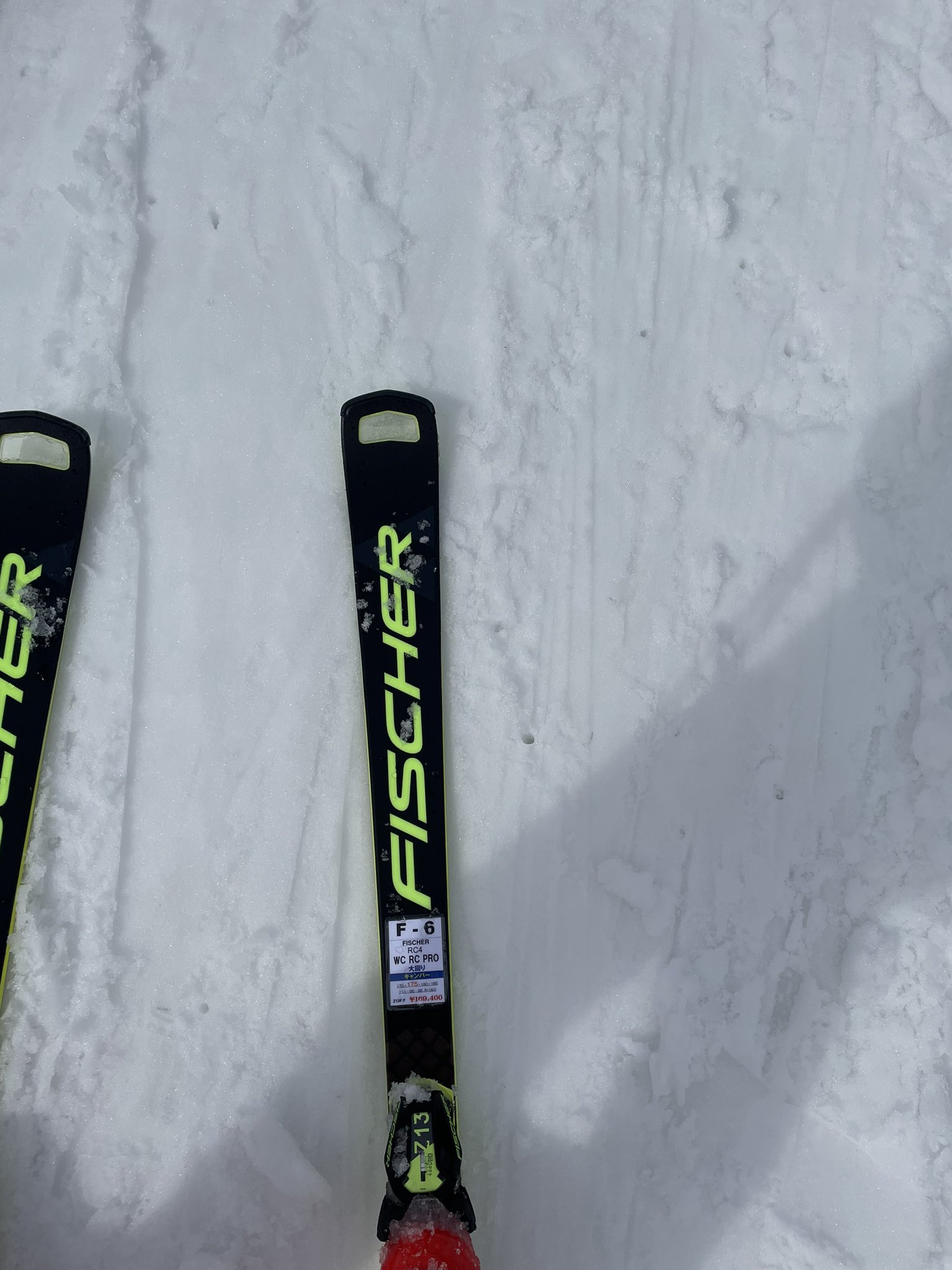 FISCHER スキー板ロングターン用、 RC4 WC RC PRO 175cm FISCHER スキー板ロングターン用、 RC4 WC RC PRO 175cm