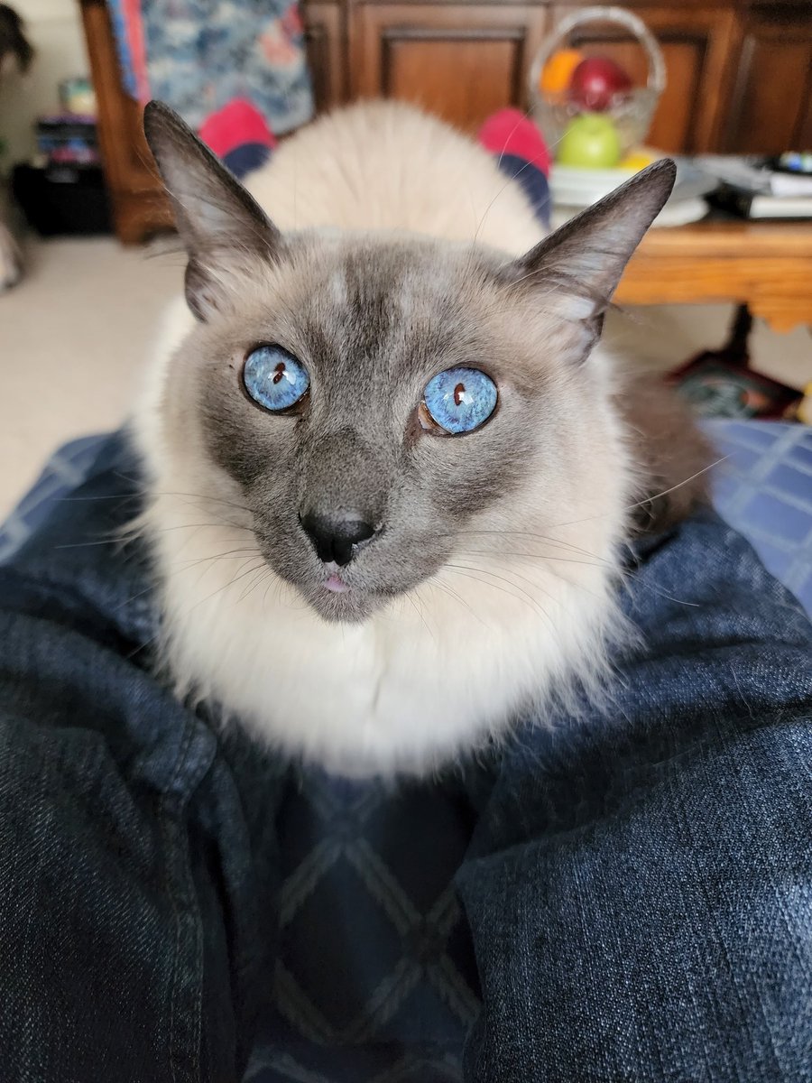 Brian King tweet media