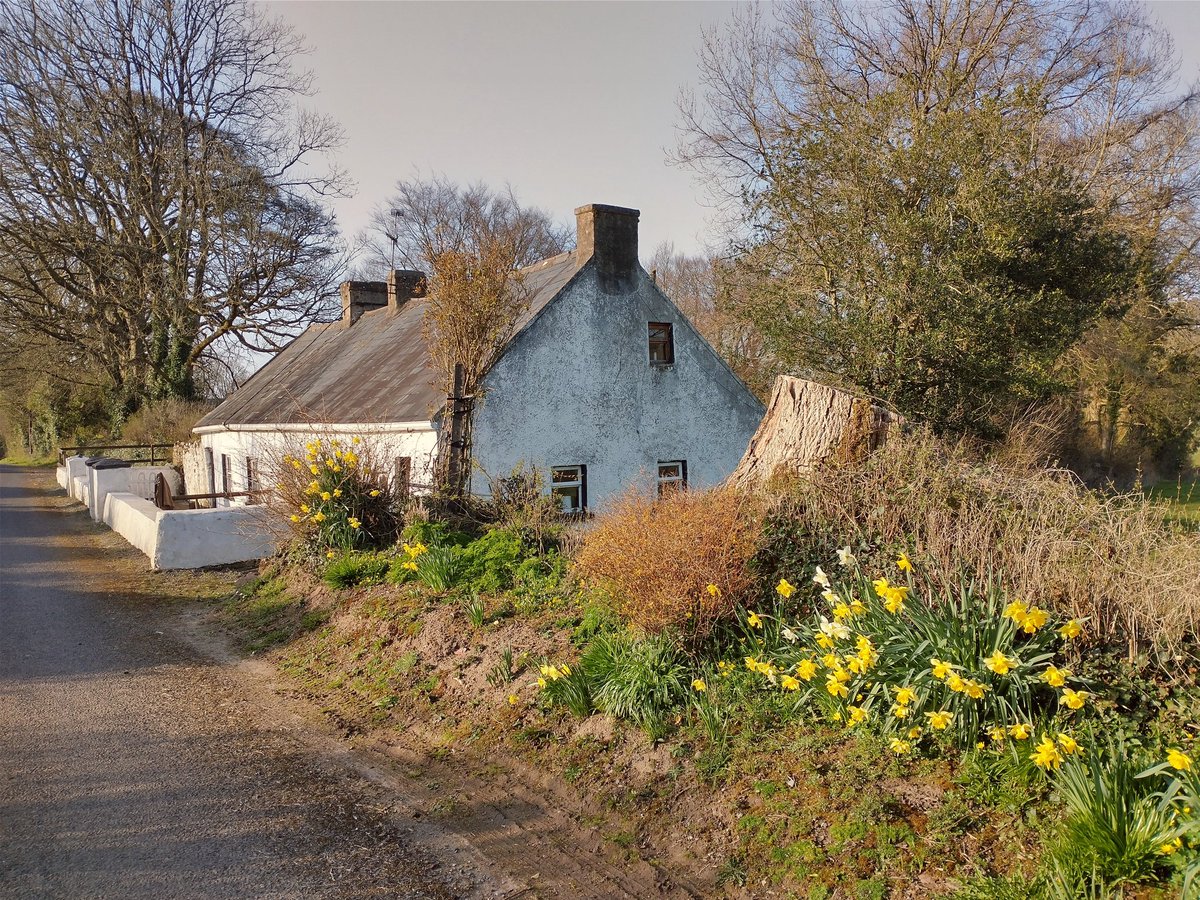 Nature Lover . tweet media