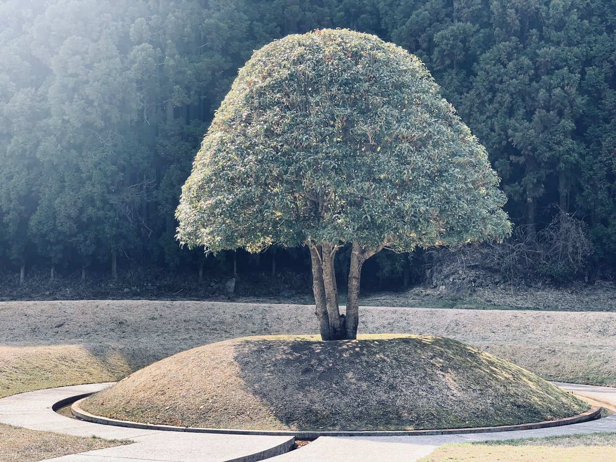 KotaHaw's tweet photo. #自然 #緑 #森 #木 #樹 #芸術 #ドライブ #散歩 #写真 #癒し #宇陀市 #奈良 #奈良県 https://t.co/5URFP0RU4i