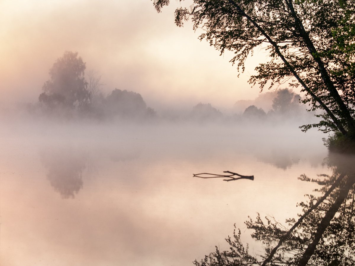 Drop you foggy photos! 
Let’s get them some exposure. 

I will retweet all.