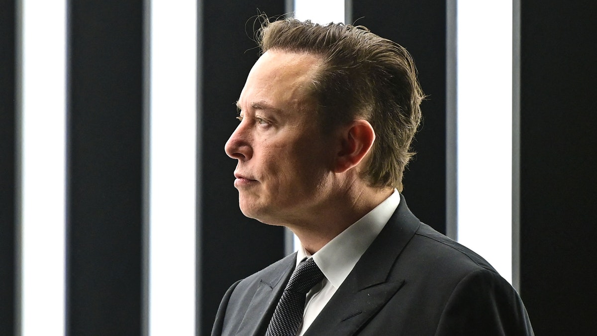 ‘Doesn’t Sound Very Balanced’: Elon Musk Hints He May Launch ‘New Platform’ To Take On Twitter dlvr.it/SMQk9n