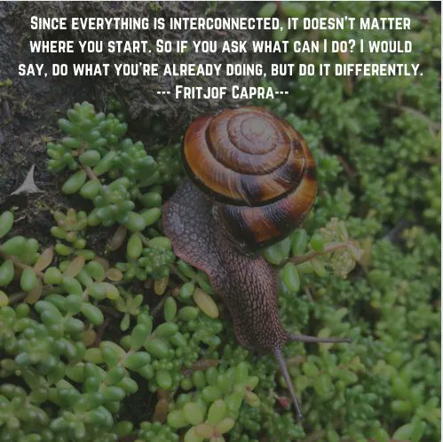 Connectiv_Prjct's tweet photo. What can you do differently within the things you are already doing? #ConnectivityProject https://t.co/JPzE9KtvMV