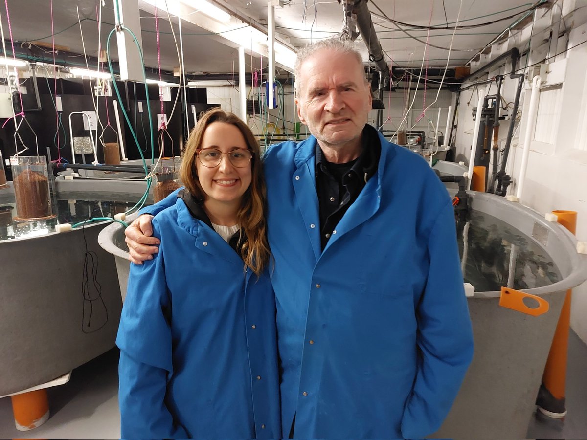 Jessica Di Toro tweet media