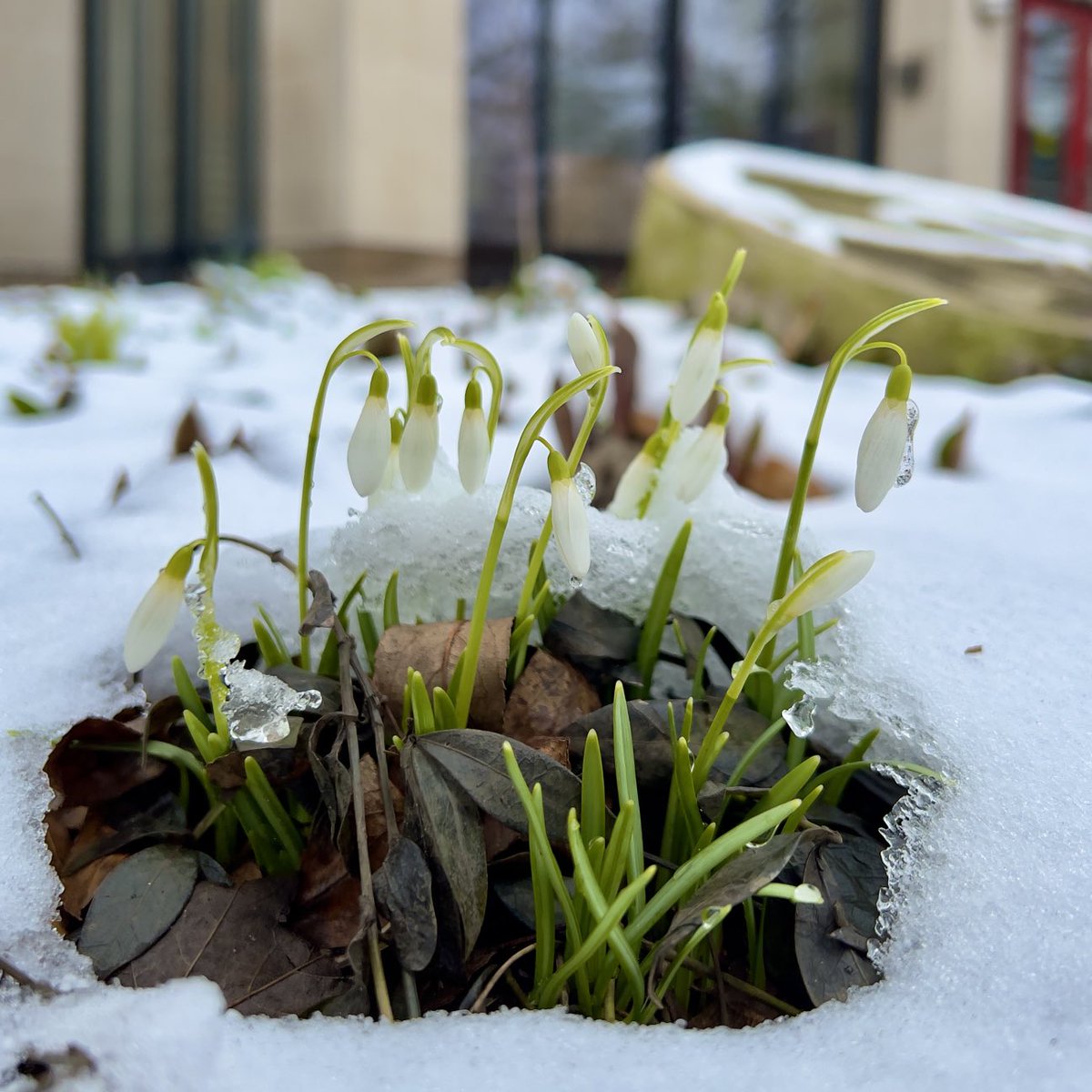 It’s Spring in Michigan