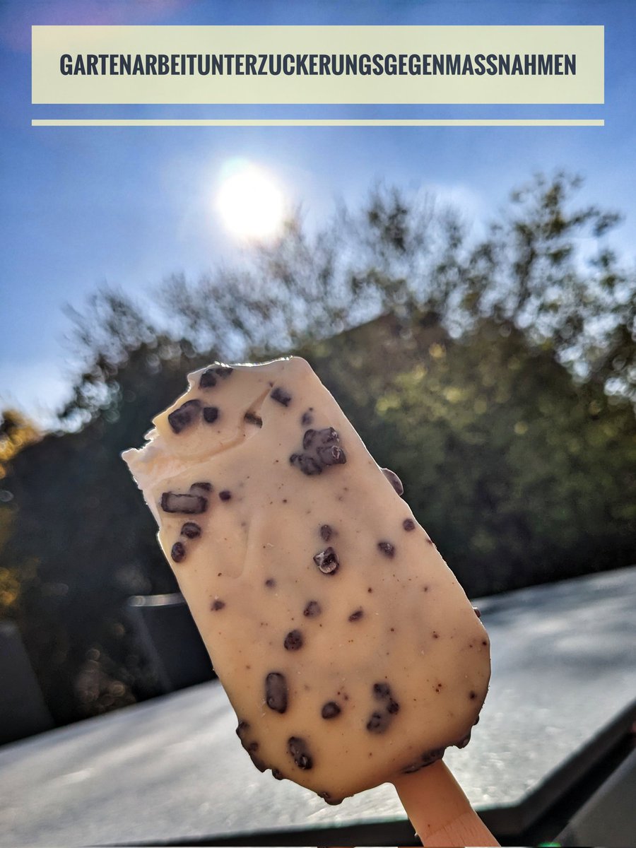DiaDoerte's tweet photo. So will es das Gesetz! 🍦☀️
#garten #t1d #likeiceinthesunshine https://t.co/BzvDg1Wxuz