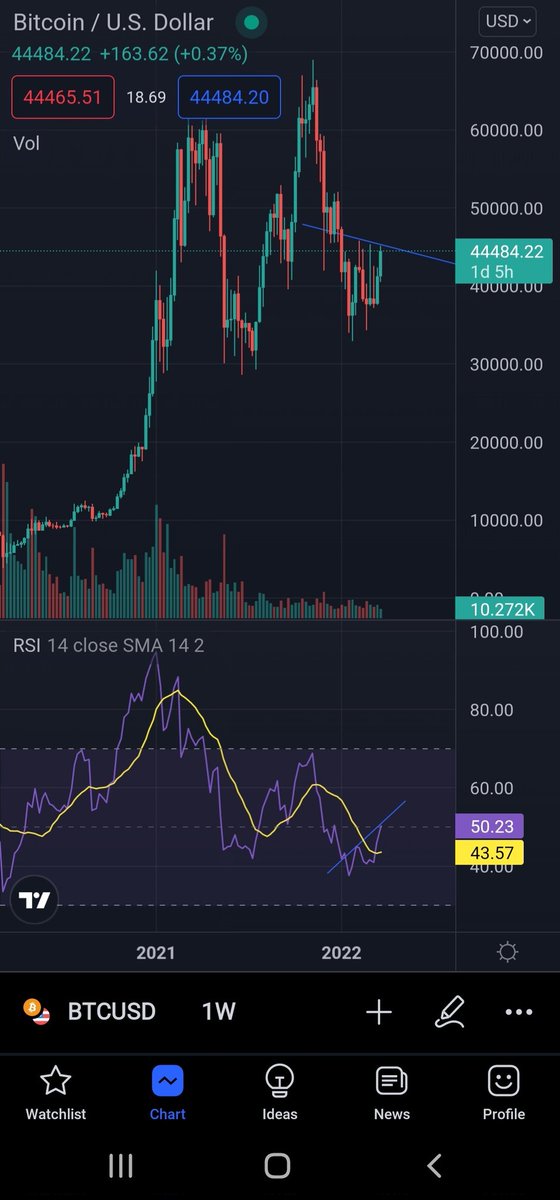 LiteracyCrypto's tweet photo. @bitcoinpanda69 Probably jinxing it now, but "Siri what's a hidden bearish divergence?" https://t.co/JkSv3Z4ZeZ